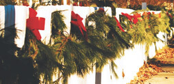 Manchester Christmas guide Manchester Christmas guide